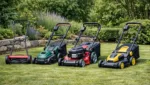 Rasenmaeher Arten erklaert: Welcher Rasenmaeher passt zu Ihrem Garten?