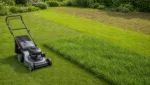 Rasenmaeher-Tipps fuer unterschiedliche Rasentypen unterhaltsam erklaert