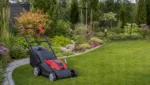 Rasenmäher & Garten: Ideen aus unserem Magazin