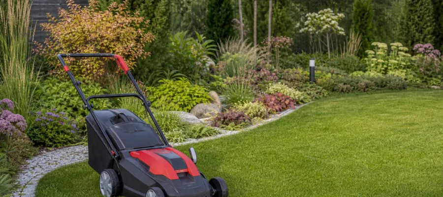 Rasenmaeher und Gartengestaltung: Kreative Ideen und Inspiration aus unserem Magazin
